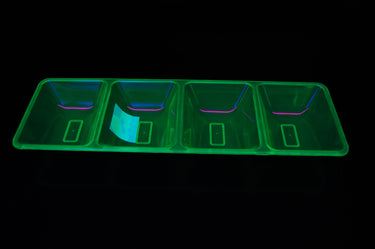 UV Blacklight Reactive 4 Compartment Serving Tray